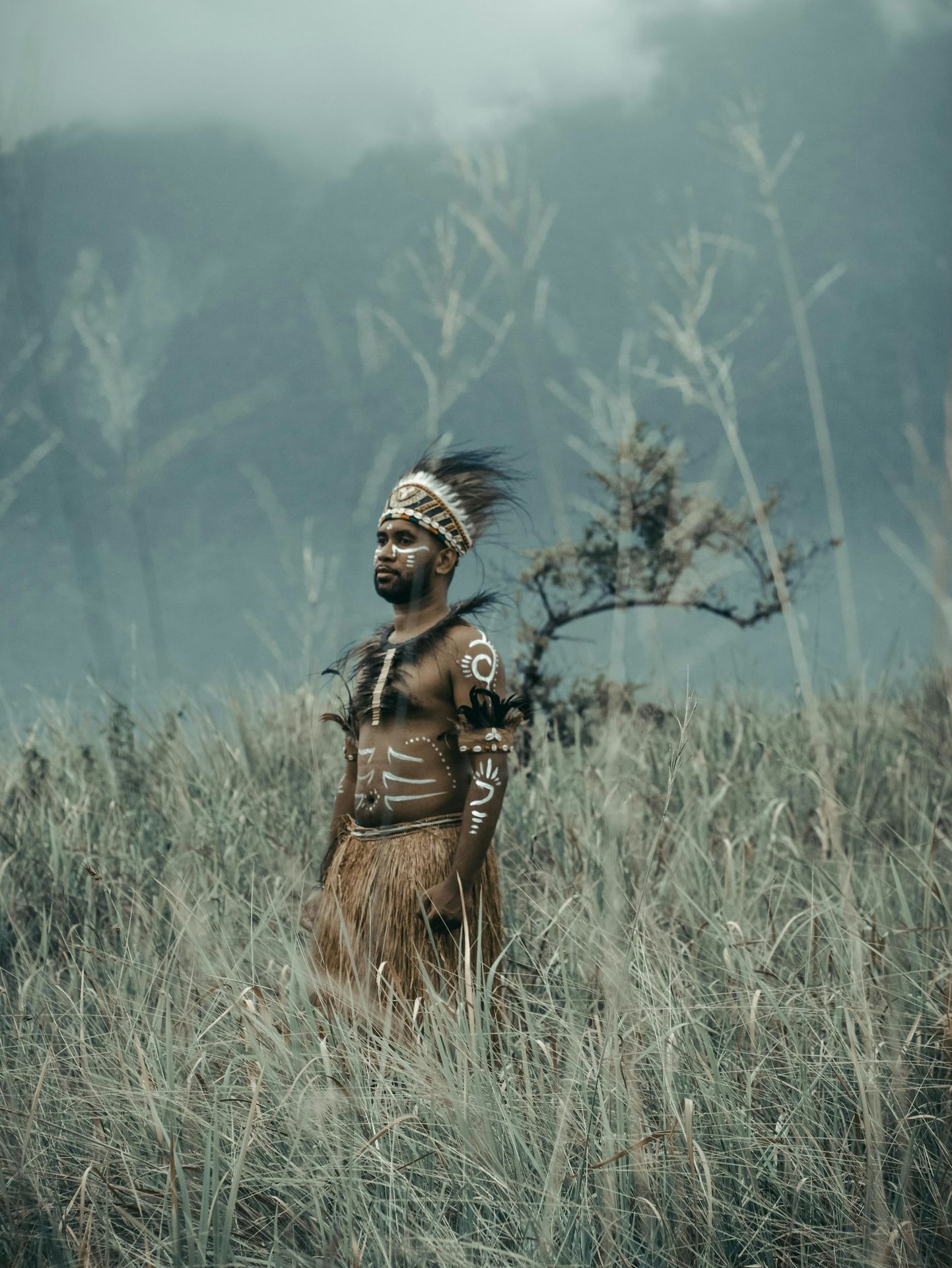 a native american man standing in a field
